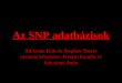 Az SNP adatb ázisok