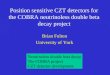 Position sensitive CZT detectors for the COBRA neutrinoless double beta decay project
