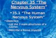 Chapter 35 “The Nervous System ”