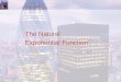 The Natural  Exponential Function