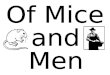 Of Mice  and Men