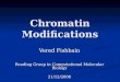 Chromatin Modifications