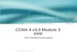 CCNA 4 v3.0 Module 3  PPP