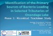 Identification of the Primary Sources of Bacteria Loading in Selected Tributaries of Onondaga Lake