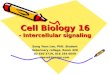Cell Biology 16 - Intercellular signaling