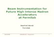 Beam Instrumentation for Future High Intense Hadron Accelerators at Fermilab