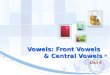 Vowels: Front Vowels  & Central Vowels