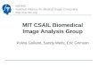 MIT CSAIL Biomedical Image Analysis Group