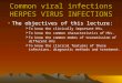 Common viral infections HERPES VIRUS INFECTIONS