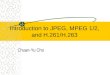 Introduction to JPEG, MPEG 1/2, and H.261/H.263
