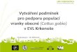Vytváření  podmínek pro  podporu  populací vranky  obecné  ( Cottus gobio ) v  EVL Krkonoše