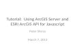 Tutorial:  Using ArcGIS Server and ESRI ArcGIS API for  Javascript