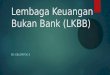 Lembaga Keuangan Bukan Bank (LKBB)
