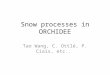 Snow processes in ORCHIDEE