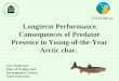 Longterm P erformance Consequences of  Predator Presence in Young-of-the-Year Arctic char