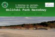 S Ornitou na cestách… tentokrát do Polska:  Woliński Park Narodowy