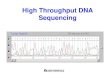 High Throughput DNA Sequencing