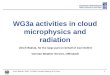 WG3a activities in cloud microphysics and radiation