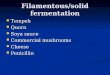 Filamentous/solid fermentation