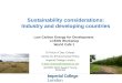 Sustainability considerations: Industry and developing countries
