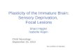 Plasticity of the Immature Brain: Sensory Deprivation,  Focal Lesions