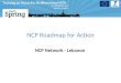 NCP Roadmap for Action