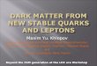 Dark matter from new stable quarks and leptons