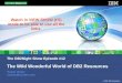 The DB2Night Show Episode #12  The Wild Wonderful World of DB2 Resources