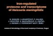 Iron-regulated proteome and transcriptome of  Neisseria meningitidis
