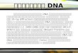 การศึกษา  DNA