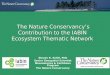 The Nature Conservancy’s Contribution to the IABIN Ecosystem Thematic Network