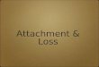Attachment &  Loss