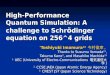 High-Performance Quantum Simulation: A challenge to Schr ö dinger equation on 256^4 grids