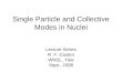 Single Particle and Collective Modes in Nuclei