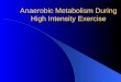 Anaerobic Metabolism During High Intensity Exercise