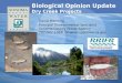 Biological Opinion Update  Dry Creek Projects