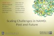Scaling Challenges in NAMD:  Past and Future