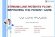 CQI Core Process