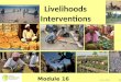 Save lives and save (or restore) livelihoods