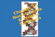 Chapter 10 DNA, RNA and Protein Synthesis