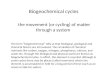 Biogeochemical cycles  the movement (or cycling) of matter through a system