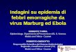 Indagini su epidemia di febbri emorragiche da virus Marburg ed Ebola