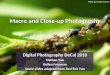 Macro and Close-up Photography
