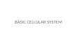 BASIC CELLULAR SYSTEM