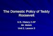 The Domestic Policy of Teddy Roosevelt