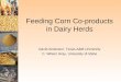 Feeding Corn Co-products in Dairy Herds