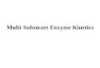 Multi-Substrate Enzyme Kinetics