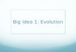 Big Idea 1: Evolution
