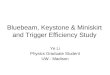 Bluebeam, Keystone & Miniskirt and Trigger Efficiency Study