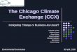 The Chicago Climate Exchange (CCX)